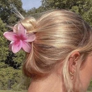 🌸 Pink Plumeria Hair Claw